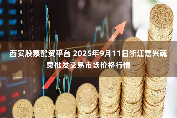 西安股票配资平台 2025年9月11日浙江嘉兴蔬菜批发交易市场价格行情