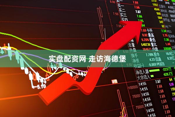 实盘配资网 走访海德堡