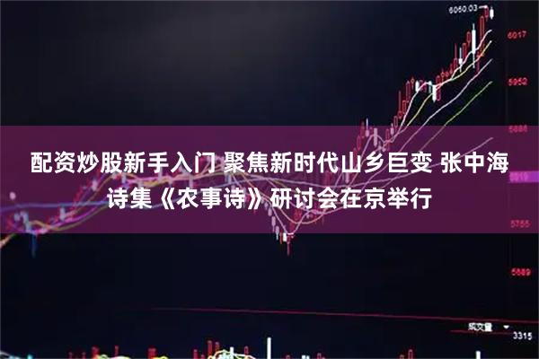 配资炒股新手入门 聚焦新时代山乡巨变 张中海诗集《农事诗》研讨会在京举行