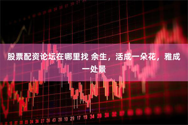 股票配资论坛在哪里找 余生，活成一朵花，雅成一处景